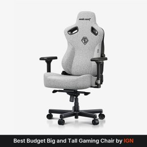 AndaSeat Ash Gray Kaiser 3 Series Premium Gaming Chair